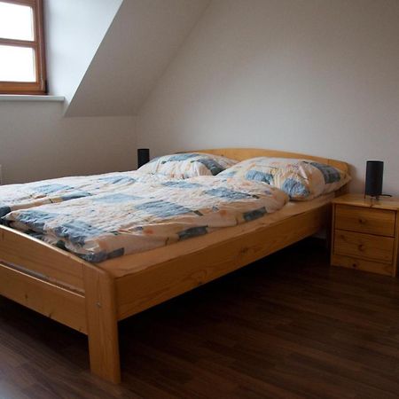 Apartment Ricky V Orlickych Horach エクステリア 写真