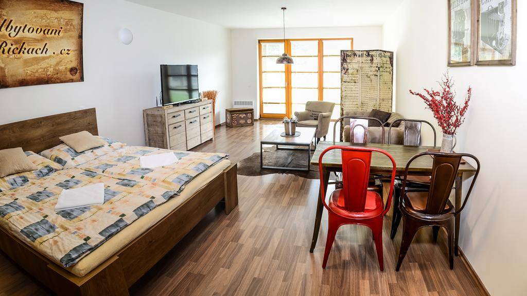 Apartment Ricky V Orlickych Horach エクステリア 写真