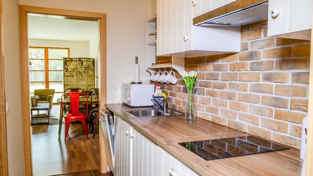 Apartment Ricky V Orlickych Horach エクステリア 写真