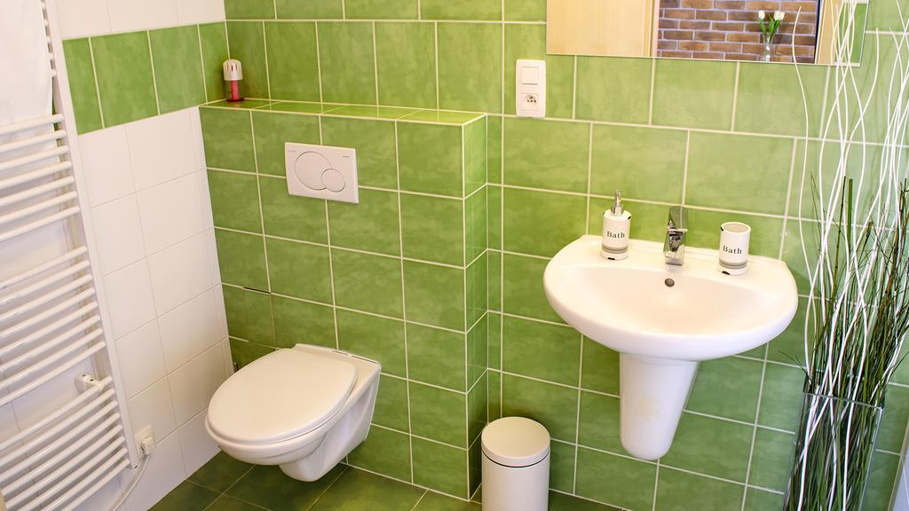 Apartment Ricky V Orlickych Horach エクステリア 写真