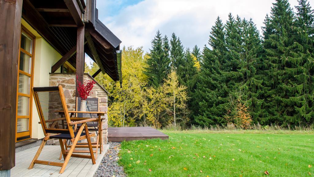 Apartment Ricky V Orlickych Horach エクステリア 写真