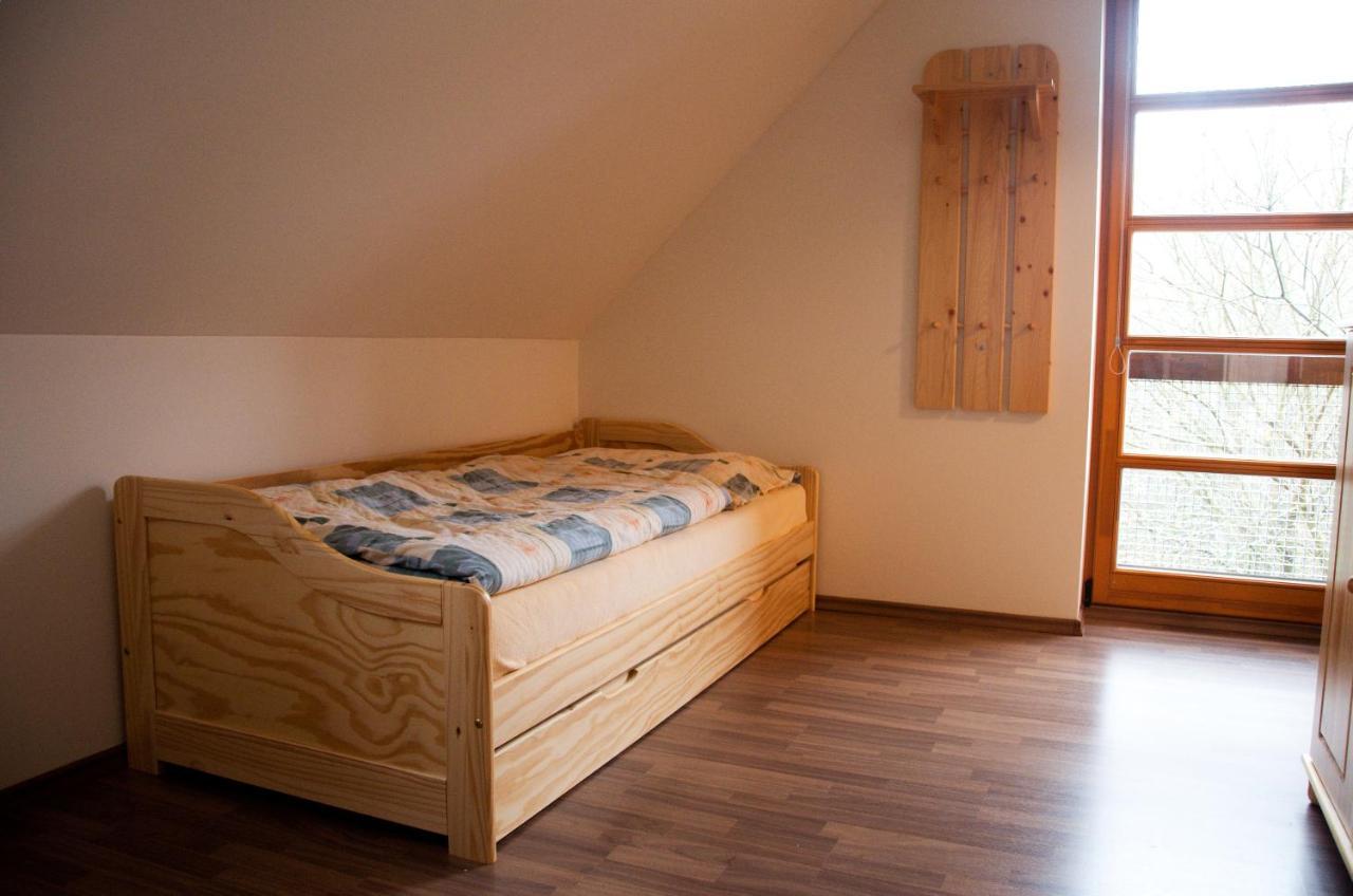 Apartment Ricky V Orlickych Horach エクステリア 写真