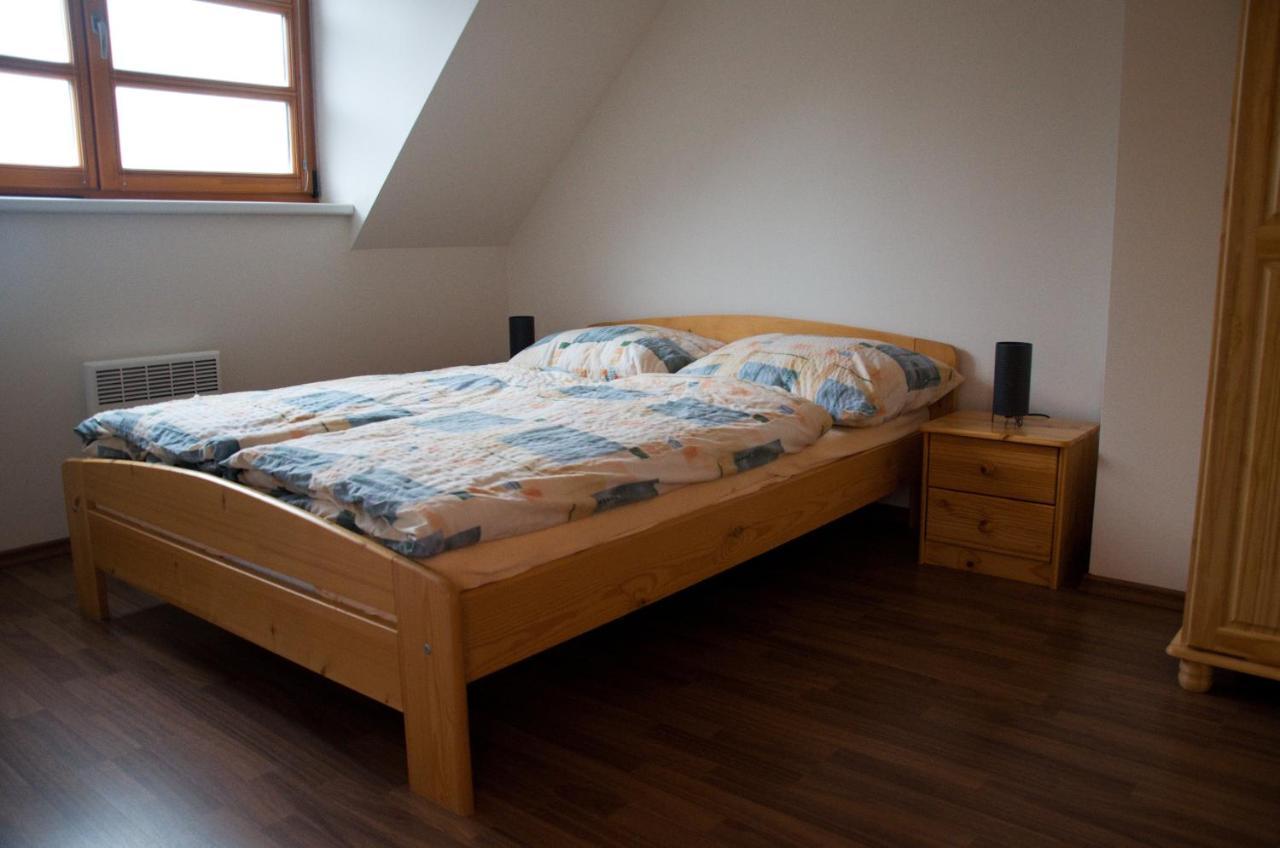 Apartment Ricky V Orlickych Horach エクステリア 写真