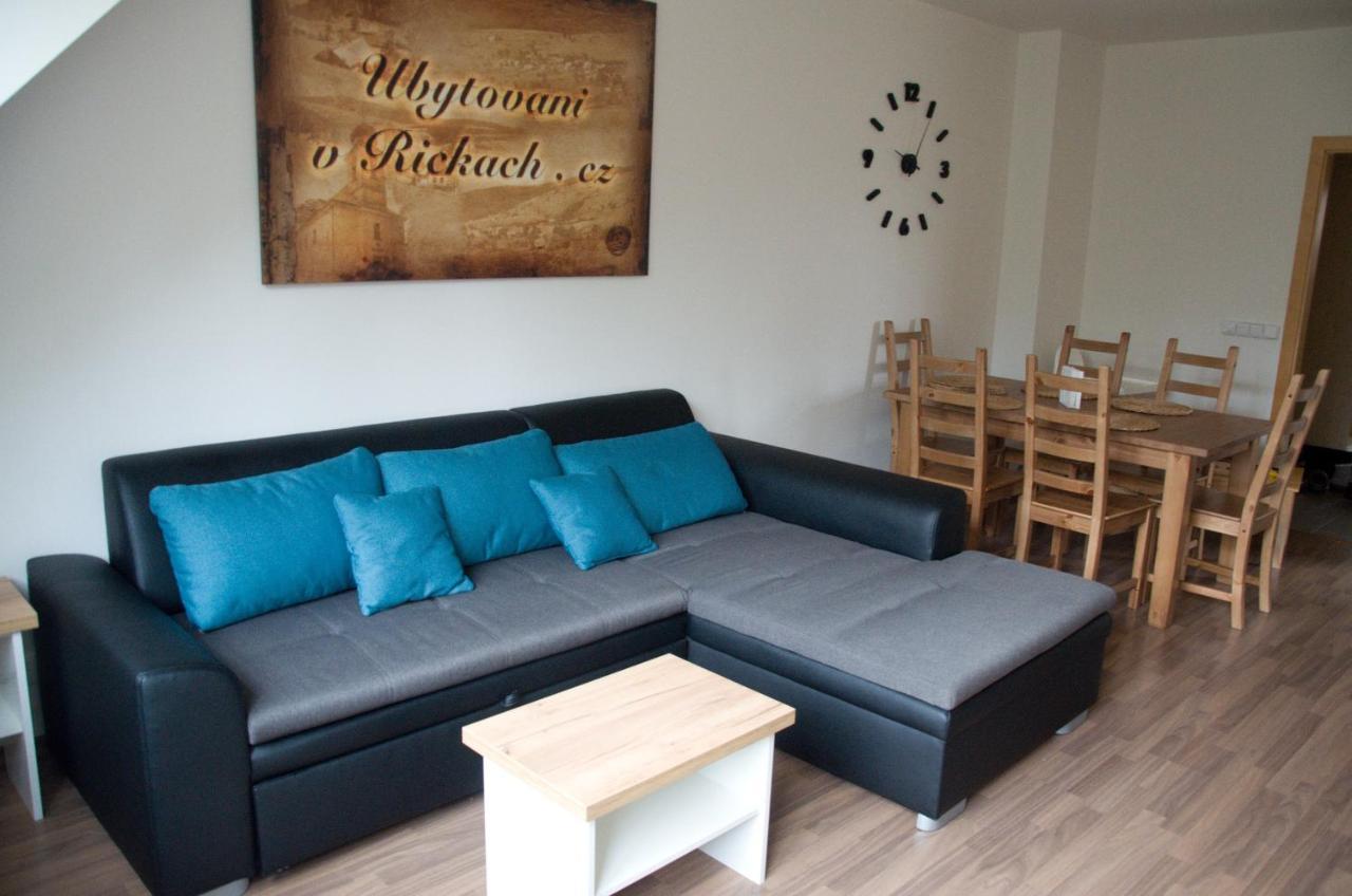 Apartment Ricky V Orlickych Horach エクステリア 写真