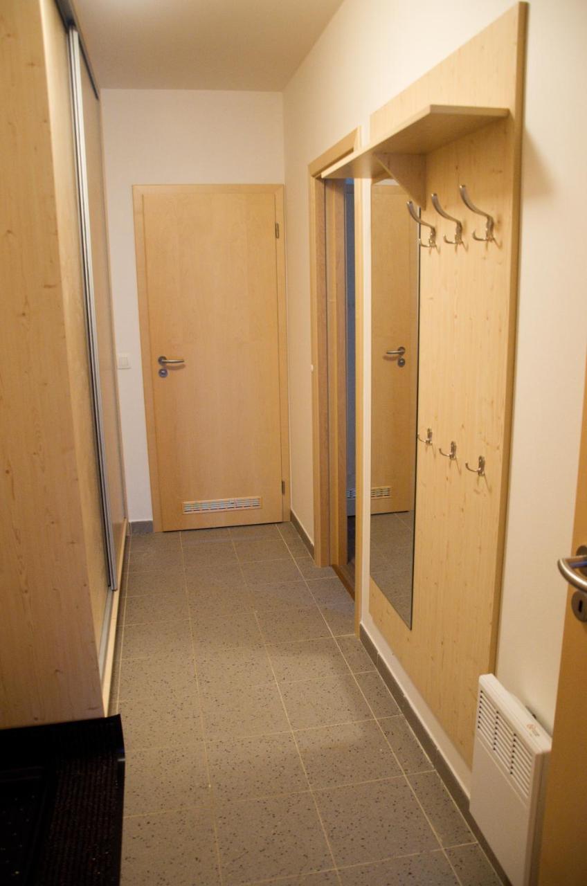 Apartment Ricky V Orlickych Horach エクステリア 写真
