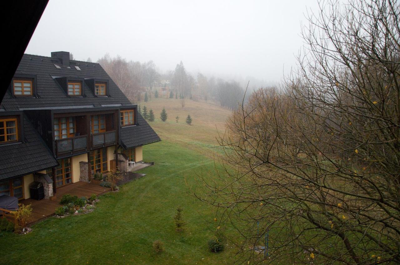 Apartment Ricky V Orlickych Horach エクステリア 写真