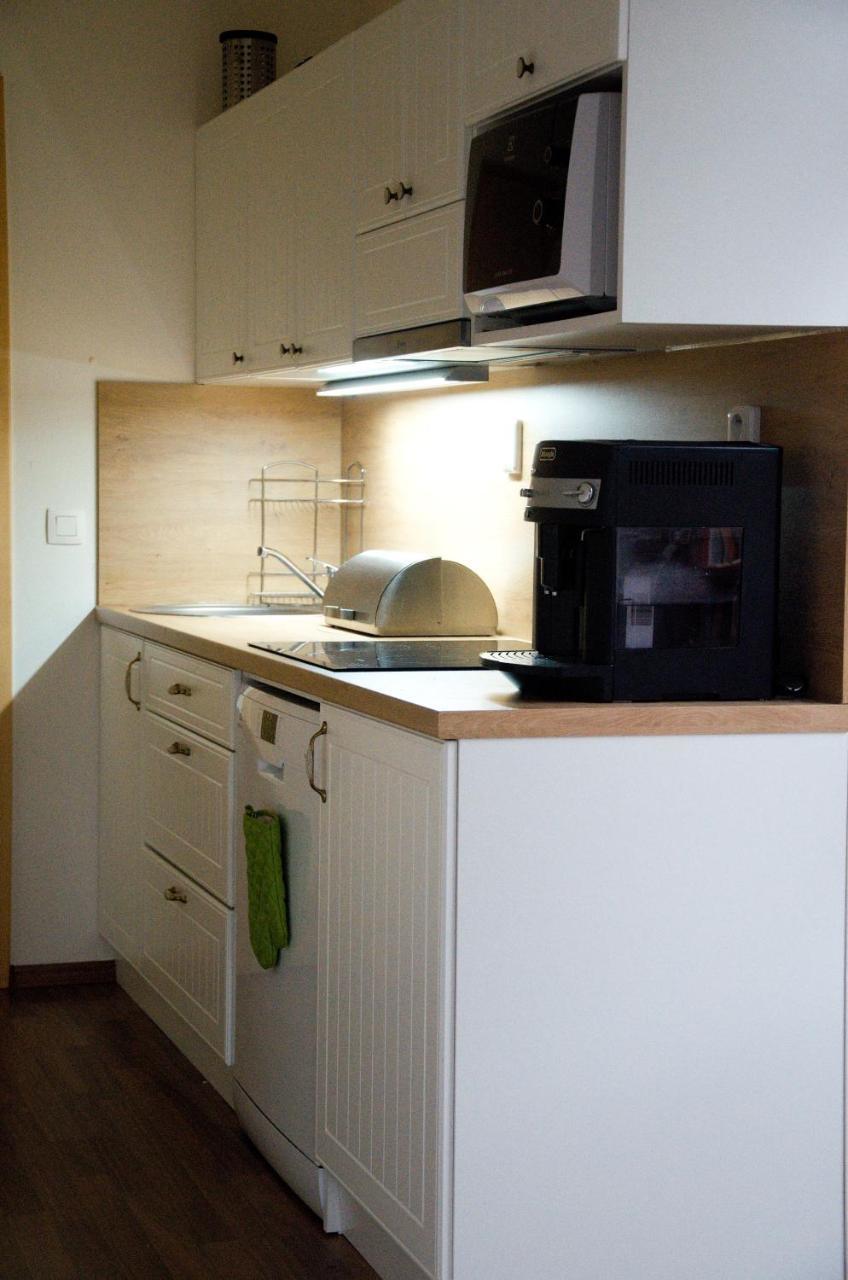 Apartment Ricky V Orlickych Horach エクステリア 写真